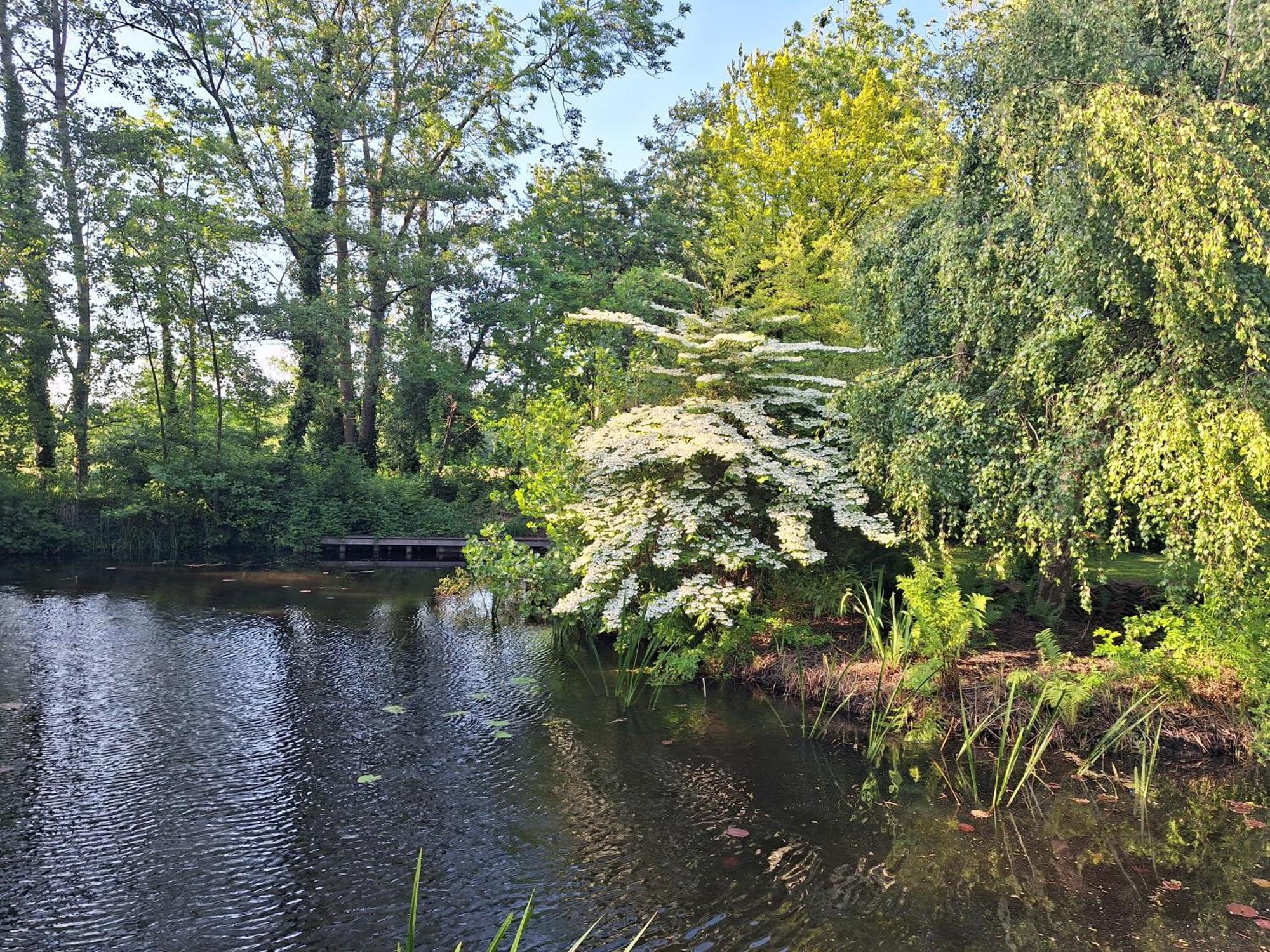 De Consistorie Villa Giethoorn Kültér fotó
